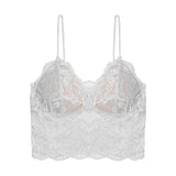 French Underwear Lace Bra Women